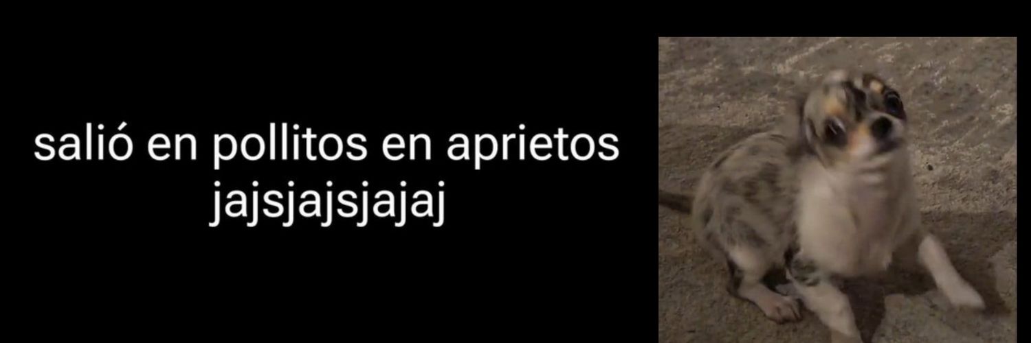 Pollitos en Aprietos's banner
