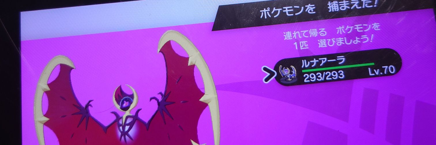 イルカマン's banner