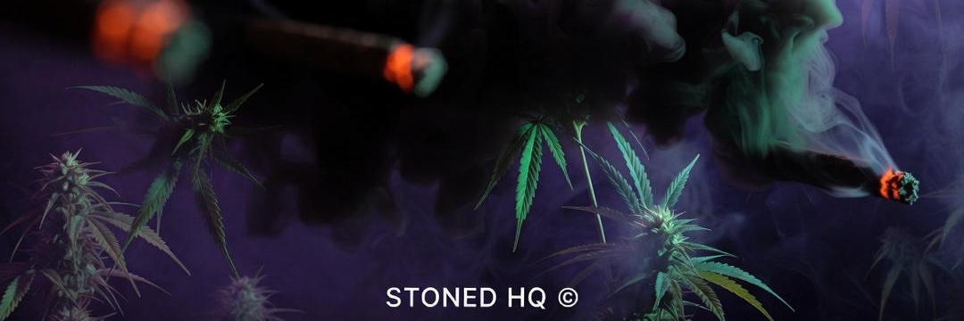 STONER's banner