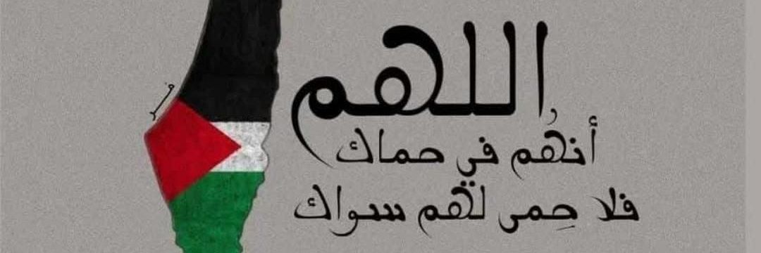 متداول بكثرة 📉's banner