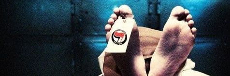 Fckantifa's banner