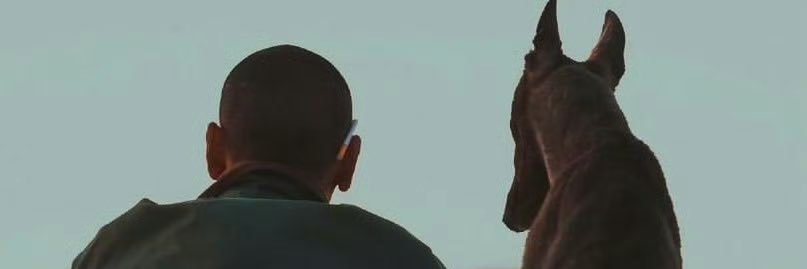 苏Daxx66's banner
