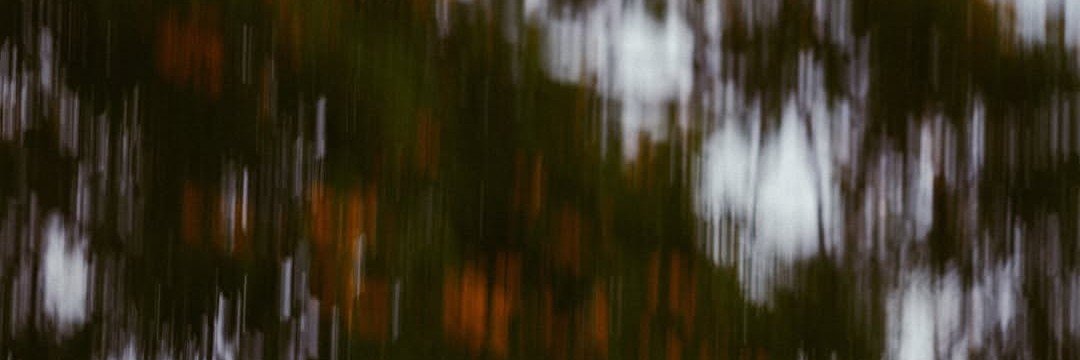 noir 🐆's banner