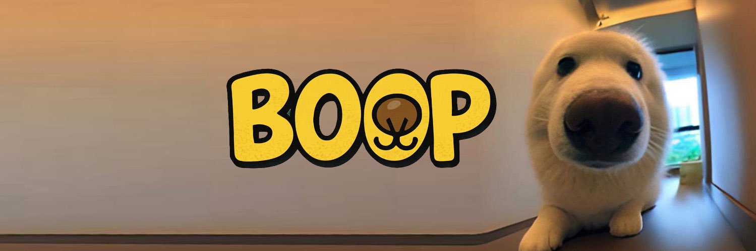 boop's banner