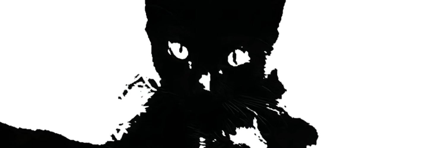 Laila!'s banner