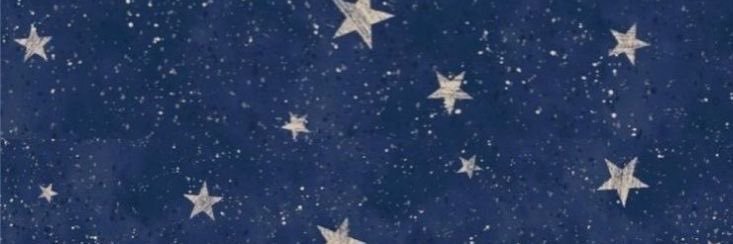 E.'s banner