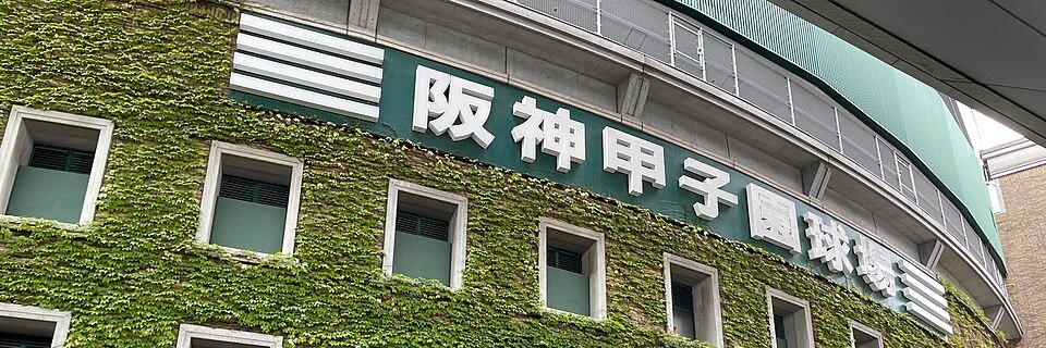 あおい🦋's banner