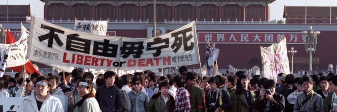 孙小龙's banner