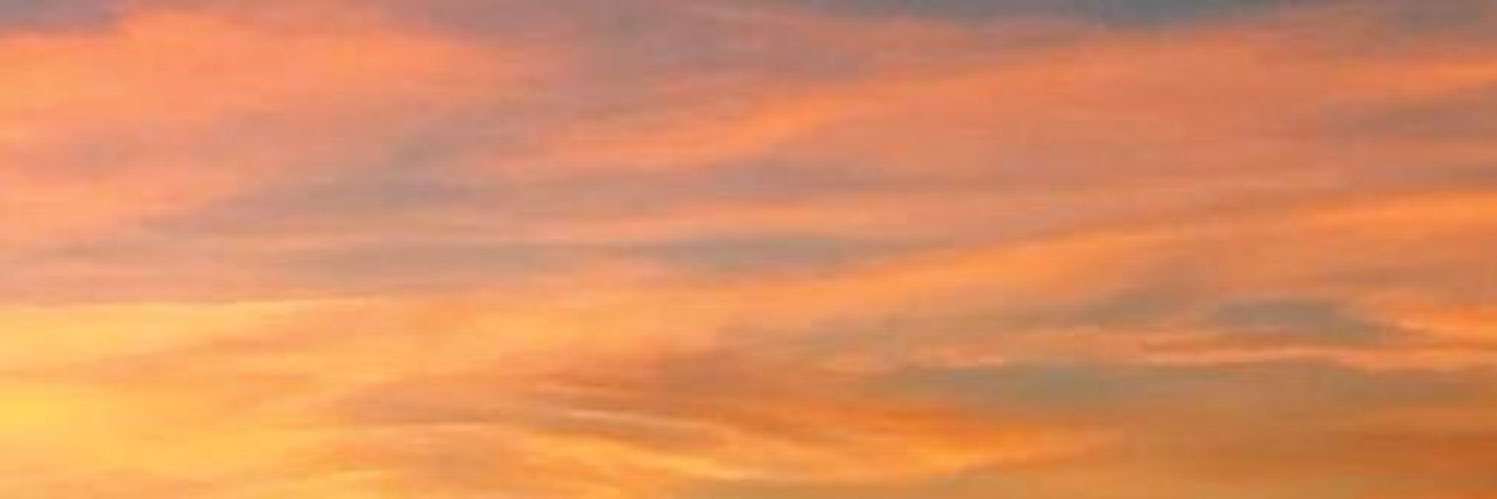 b 🍓's banner