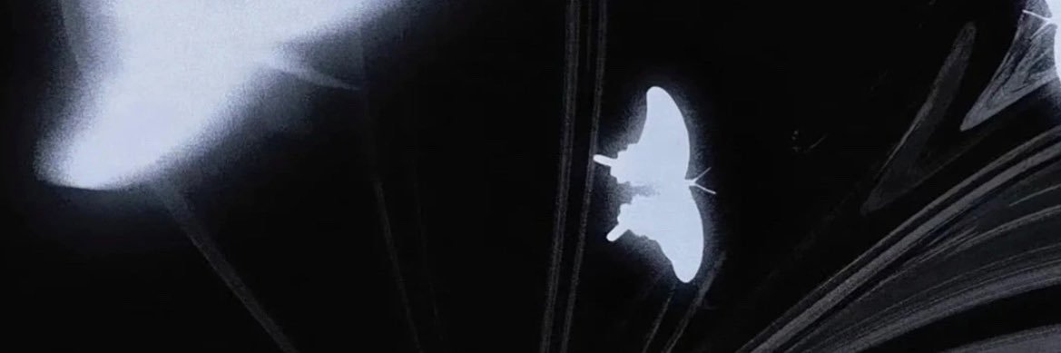 盒子 | 原味's banner