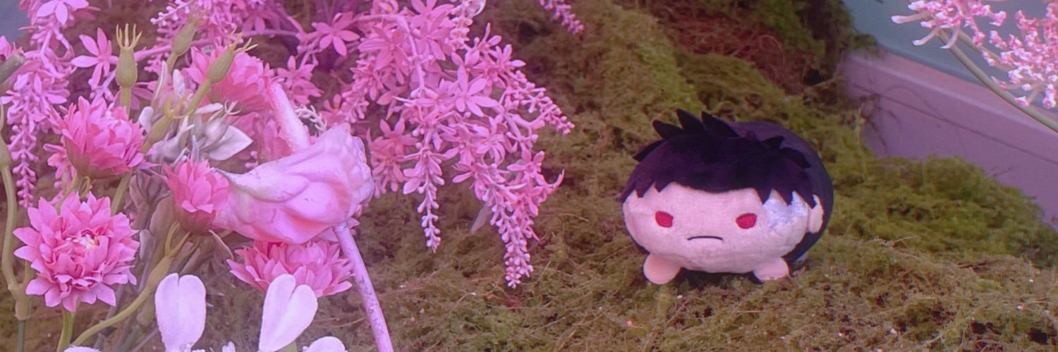 のぽ🪽's banner