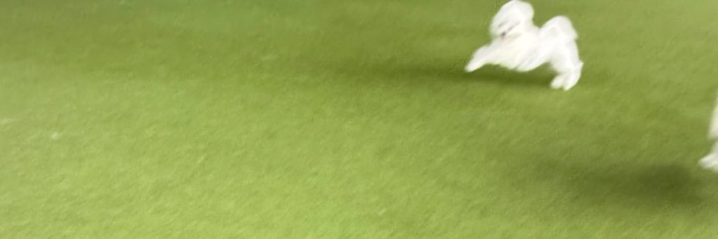 ほたて's banner