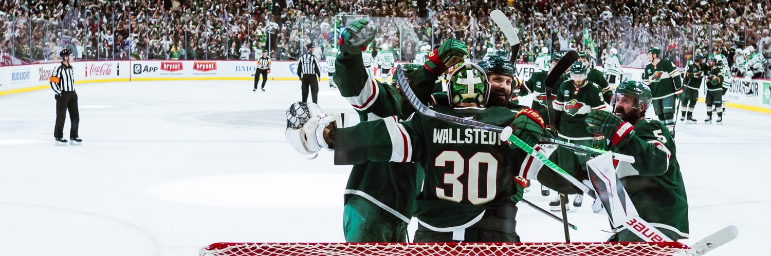 Minnesota Wild's banner