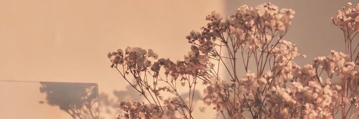 cune ⋆˚✿˖°'s banner