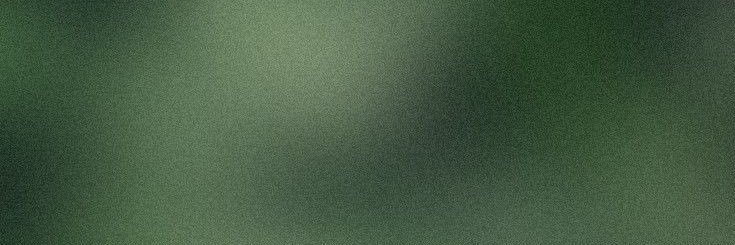 1999's banner