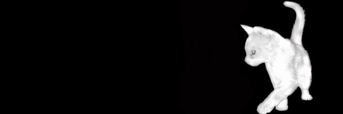 scarlett ✮⋆˙'s banner