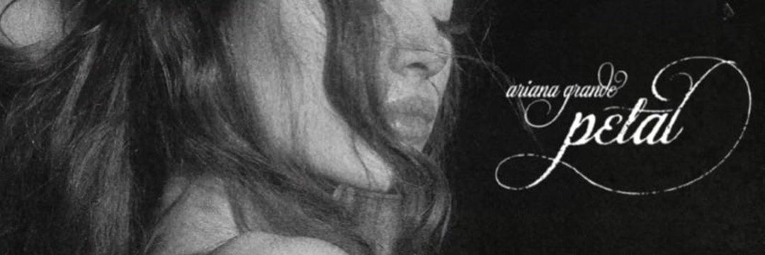 diax ꕤ's banner