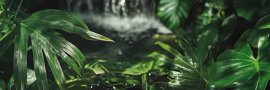柴总日记（通讯录玩具大王）'s banner