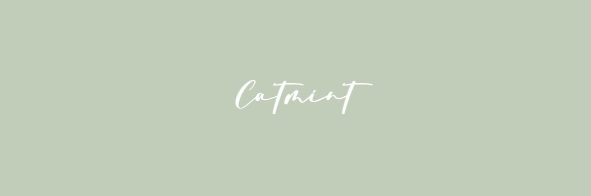 Catmint🌿薄荷's banner