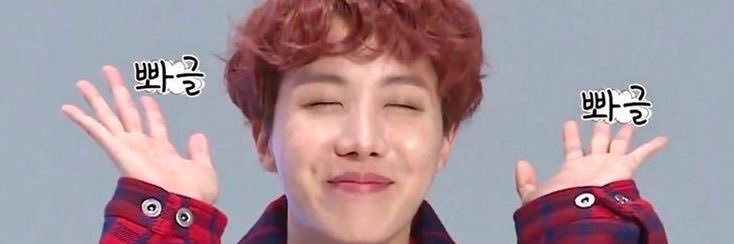 lulu do hobi ★ RT NO FIX!'s banner