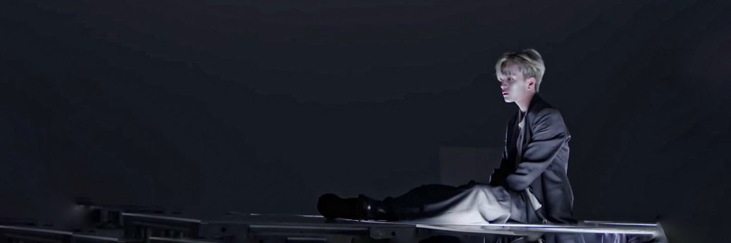 nin's banner
