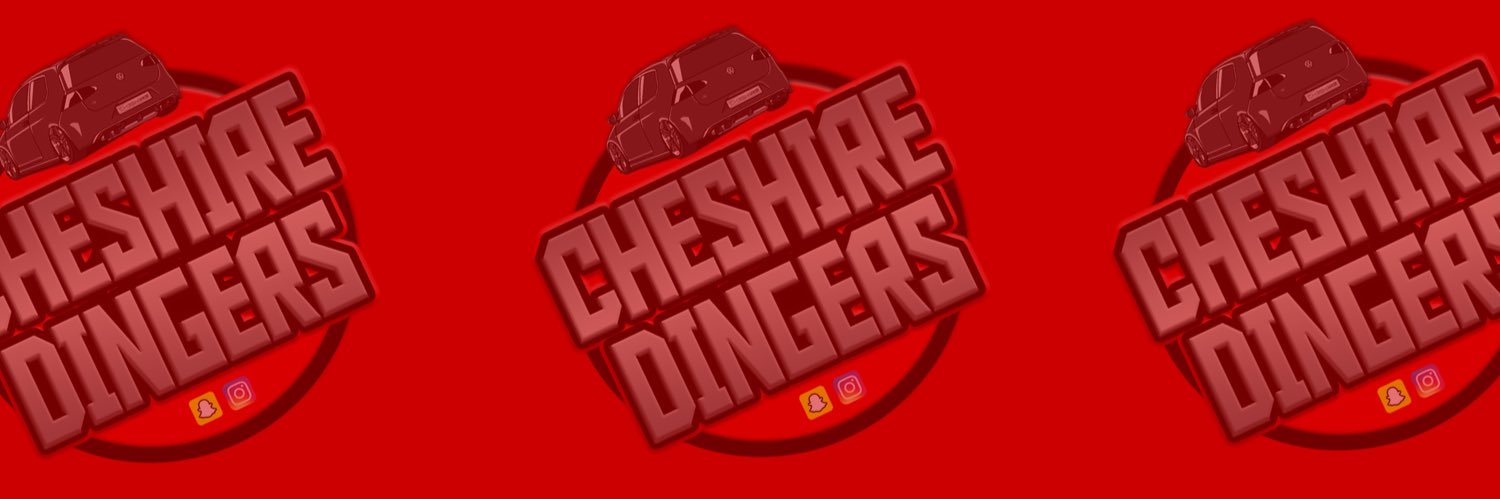 CHESHIREDINGERS's banner