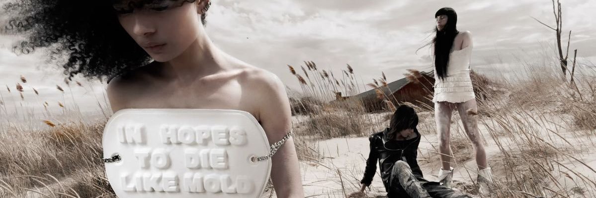 ↀ ✧'s banner