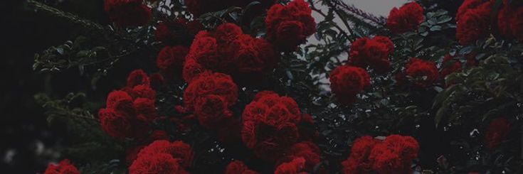 𝐊𝐚𝐭𝐡𝐲⁸ & 𝐭𝐡𝐚𝐭.'s banner