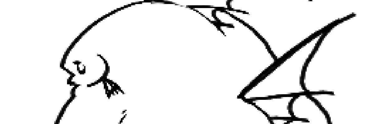 FishStroke🐟's banner