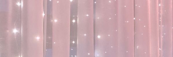 ❀ erin's banner