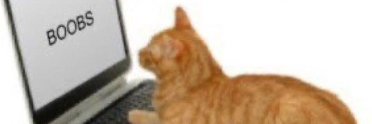 MrPalta's banner