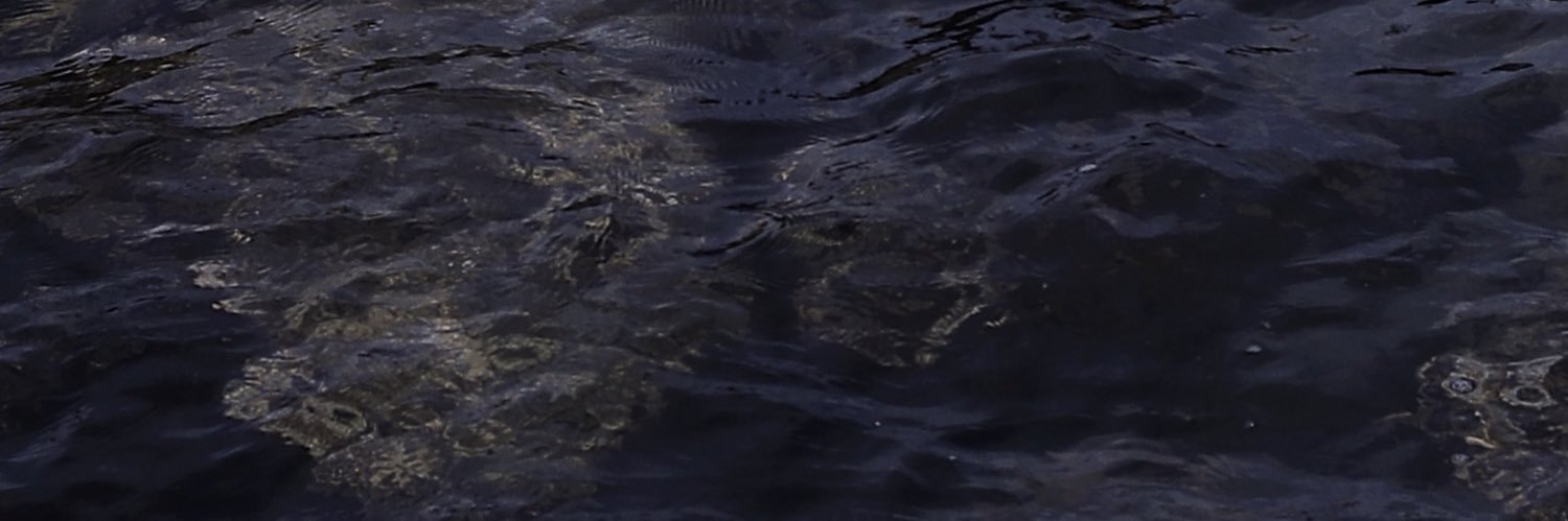 Ambitiond「心气」's banner