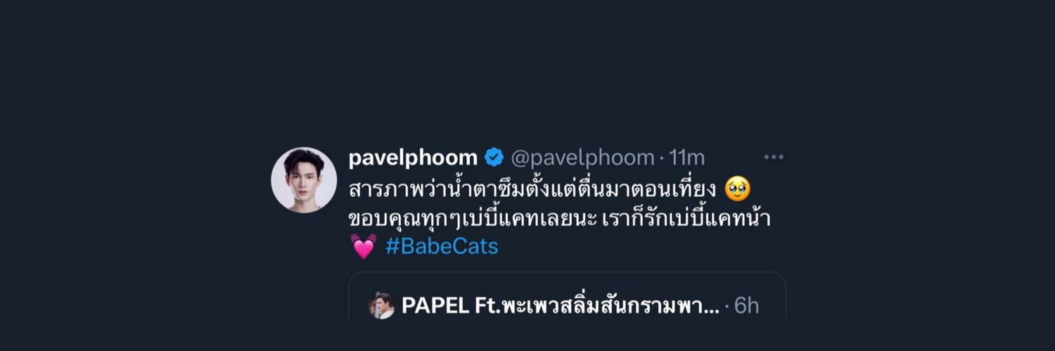 𝑷𝑨𝑷𝑬𝑳 Ft.พะเพวสลิ่มสันกรามพาเวล's banner