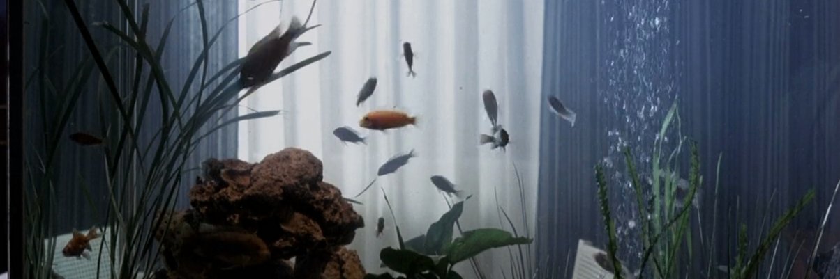 laszlo¹²'s banner