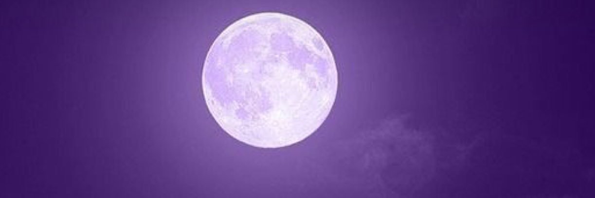 凰華りん🐦‍🔥💜's banner
