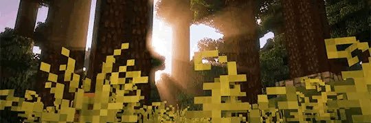sage 🦔's banner