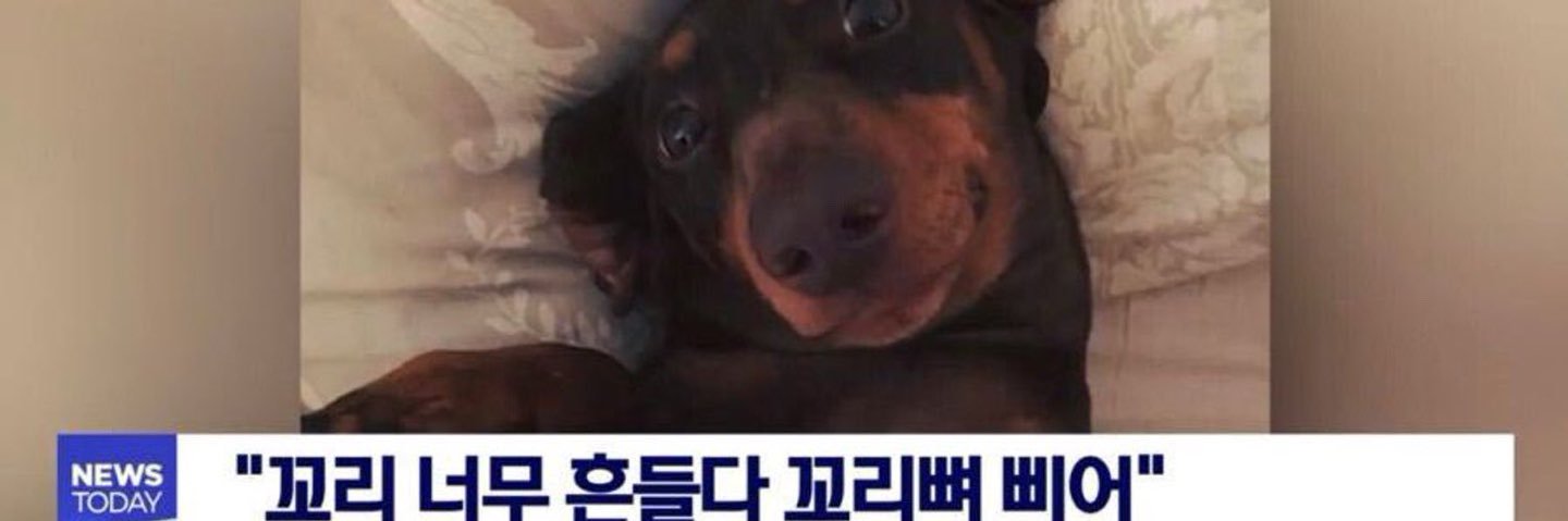 딱필이..'s banner