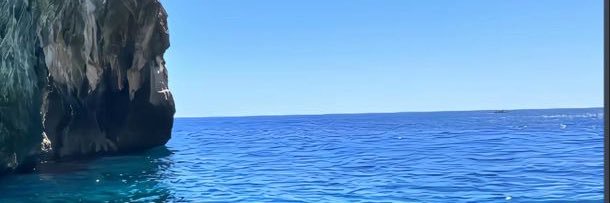 dia ༊·˚'s banner