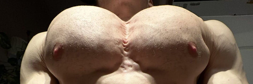The Pec Bounce Gallery 💪✨'s banner
