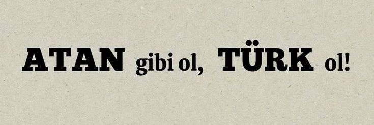 Gül🇹🇷's banner