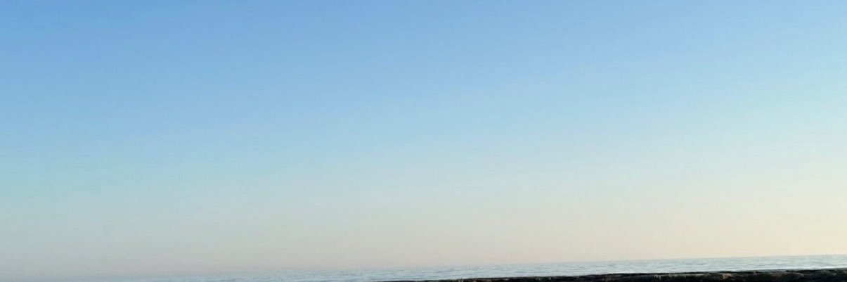 𝓟's banner