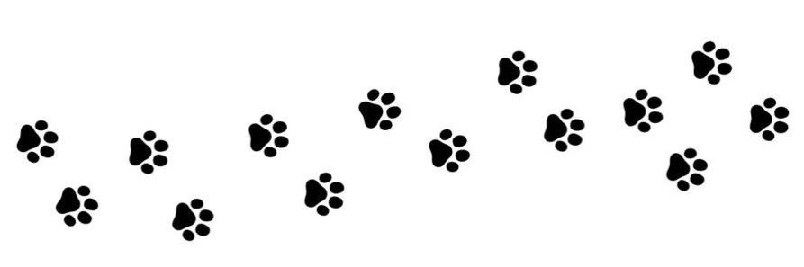 puppypo‧°꒰🐾꒱༘⋆'s banner