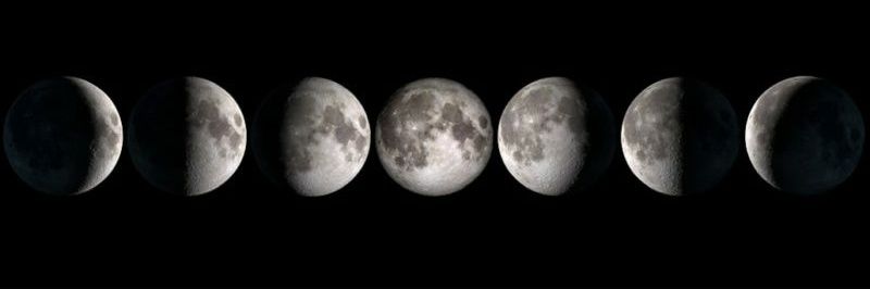 R E G I's banner