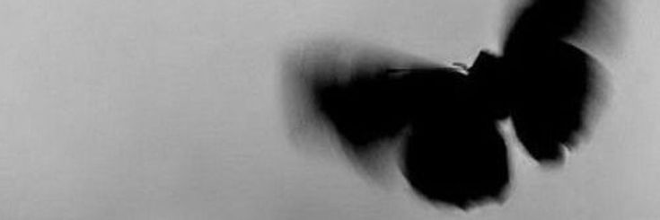 Hakuna matata :)'s banner