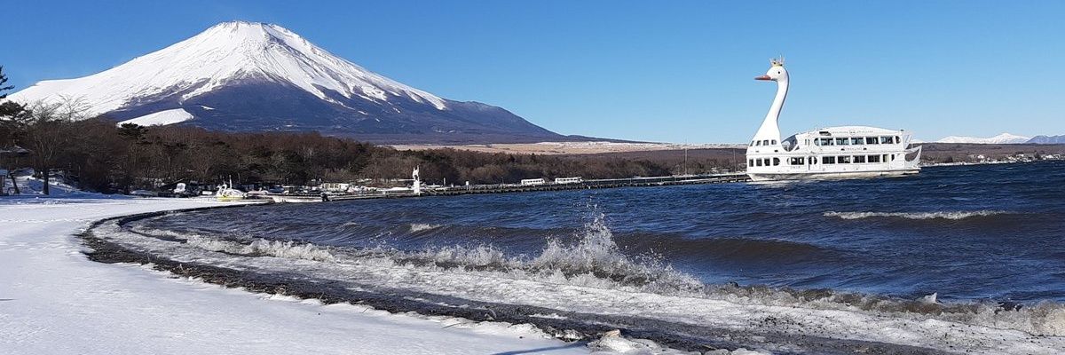 🐘みはえる🐘【公式】's banner