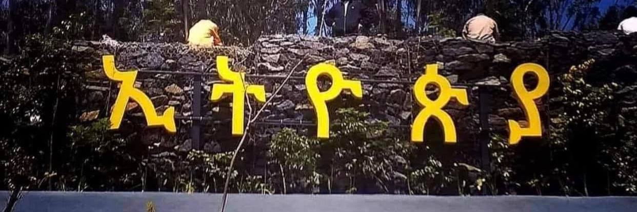 Zehabesha's banner