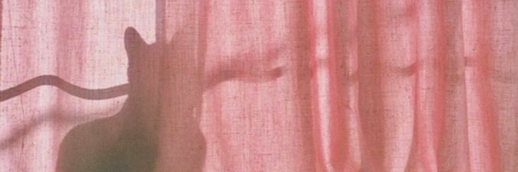 claire's banner