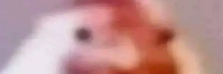 hxji's banner