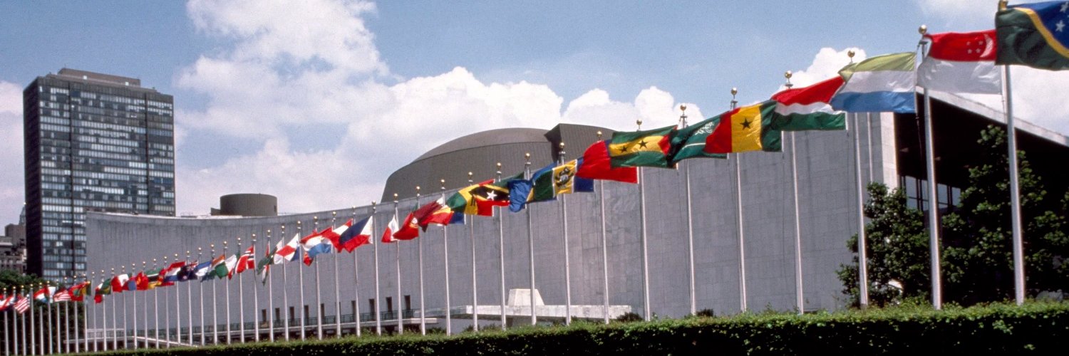 Pamela Falk Correspondent United Nations's banner