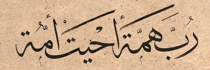 Sara Joad's banner